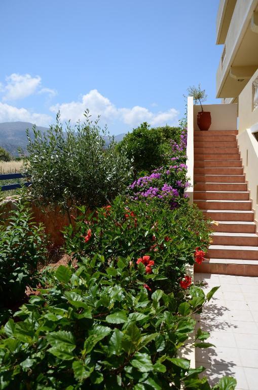 Cretan Family Apartments Malia Eksteriør billede