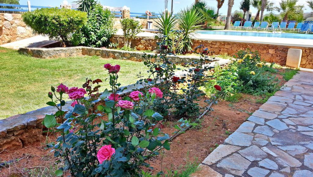 Cretan Family Apartments Malia Eksteriør billede